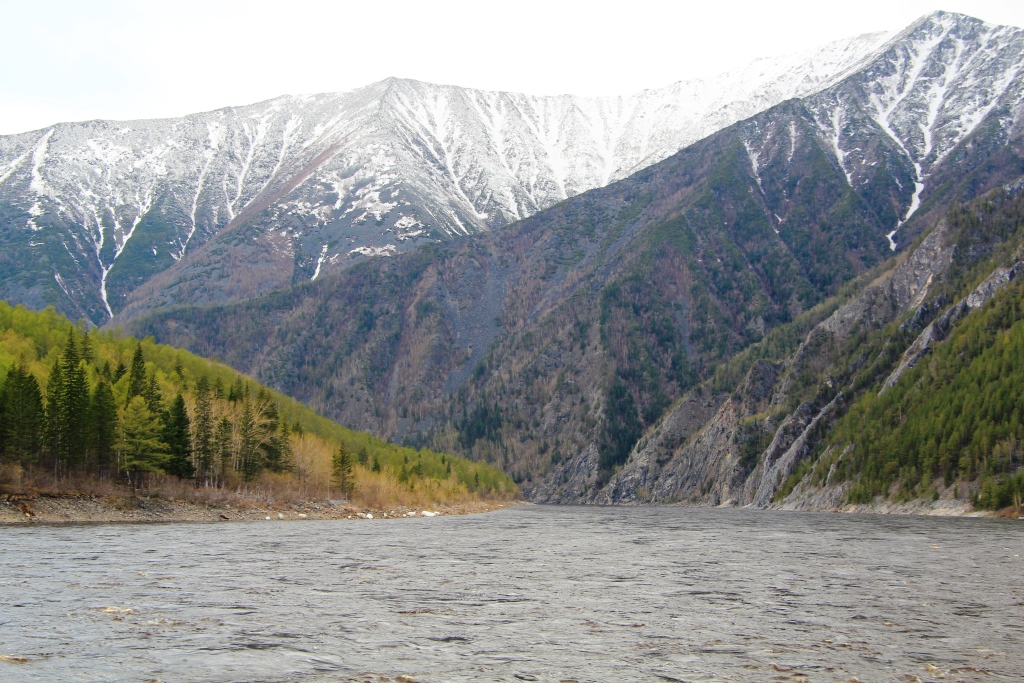 55 IMG_8916.JPG