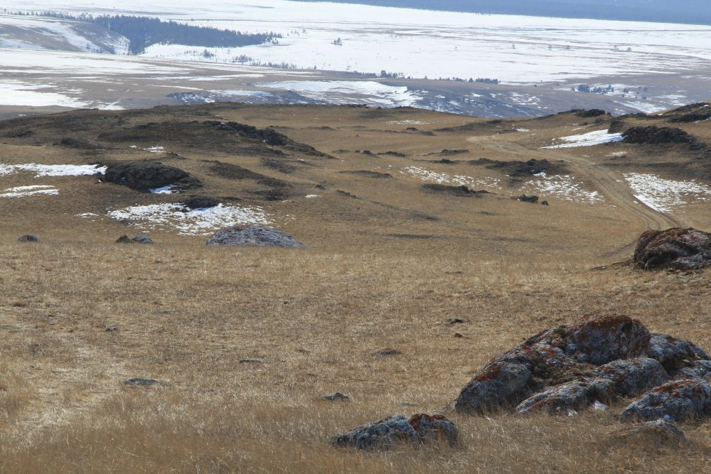 IMG_8666.jpg