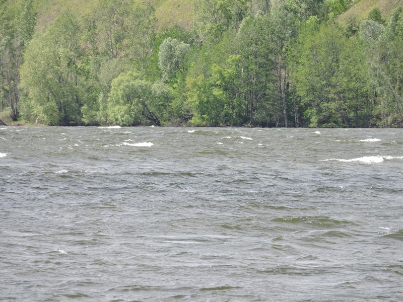 DSCN6542.JPG