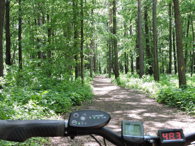 DSCN6551.JPG