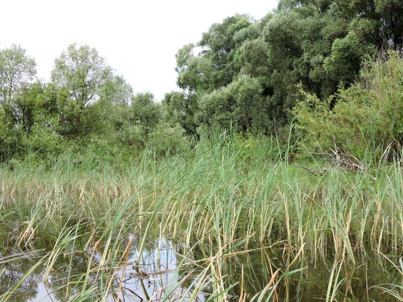 DSCN6827.JPG