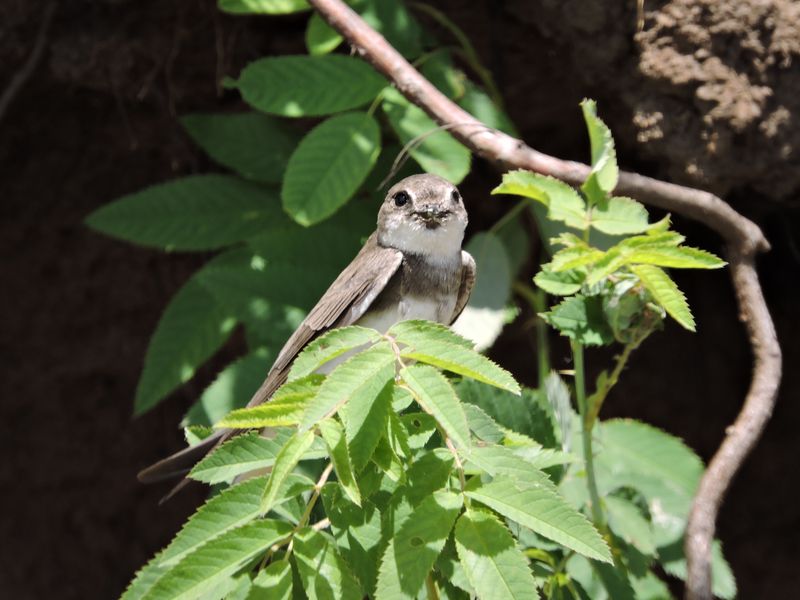 DSCN6898.JPG