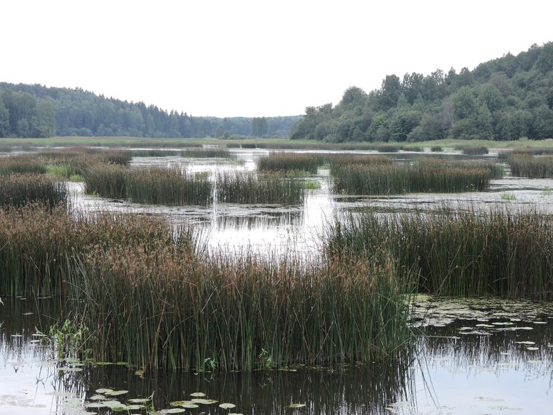 DSCN7024.JPG