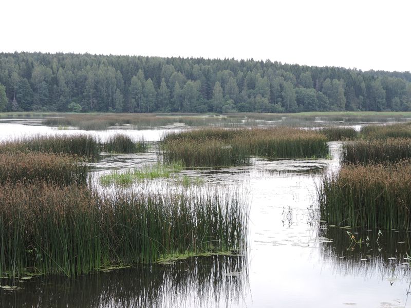 DSCN7025.JPG