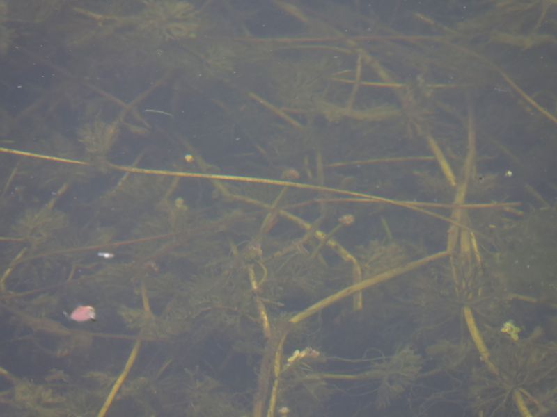 DSCN7042.JPG