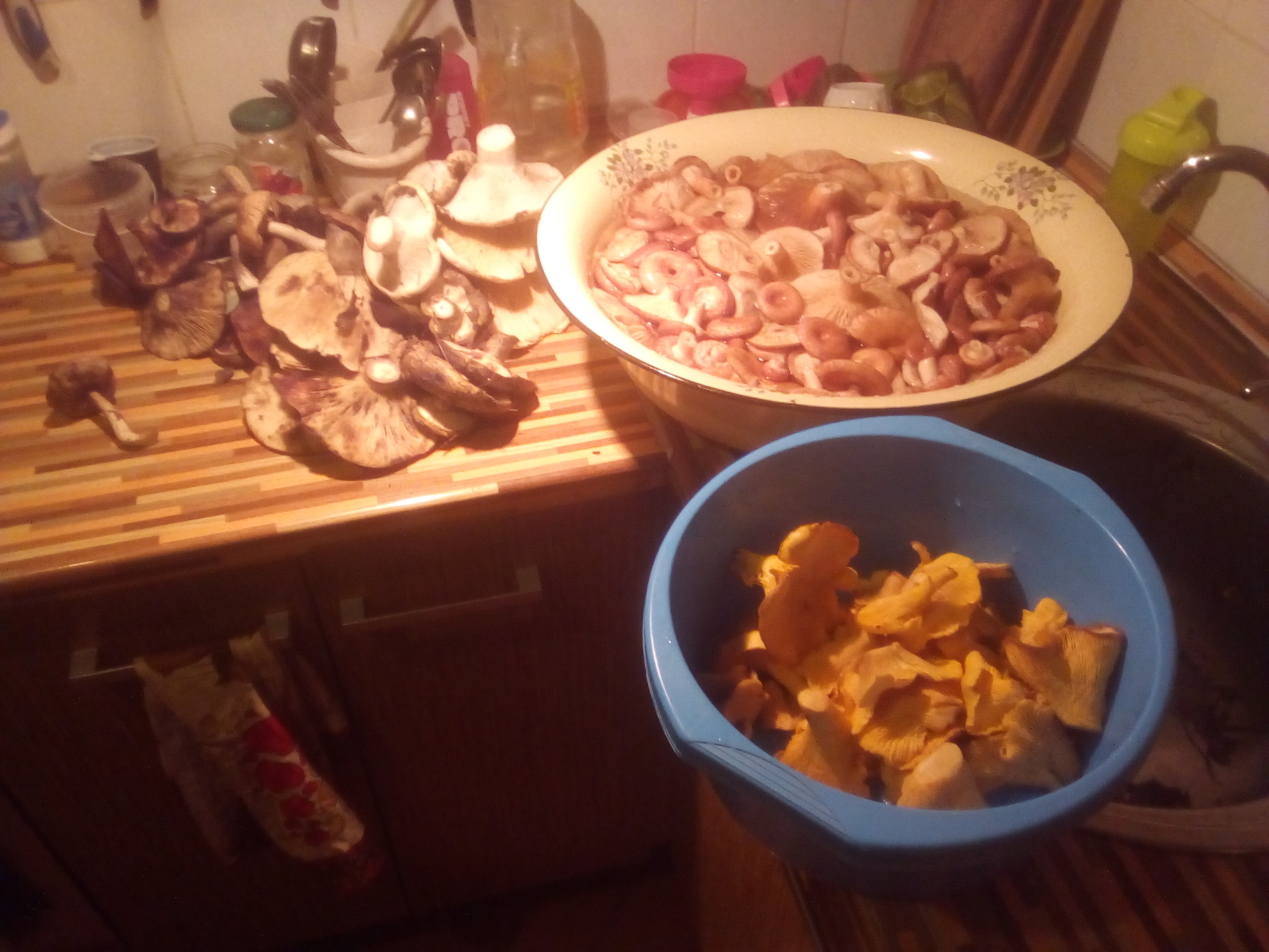 IMG_20180830_202009.jpg