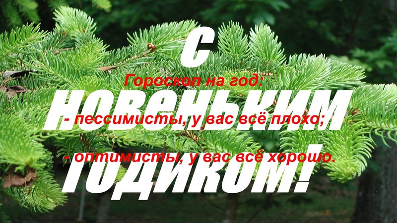 Ветка 3.jpg