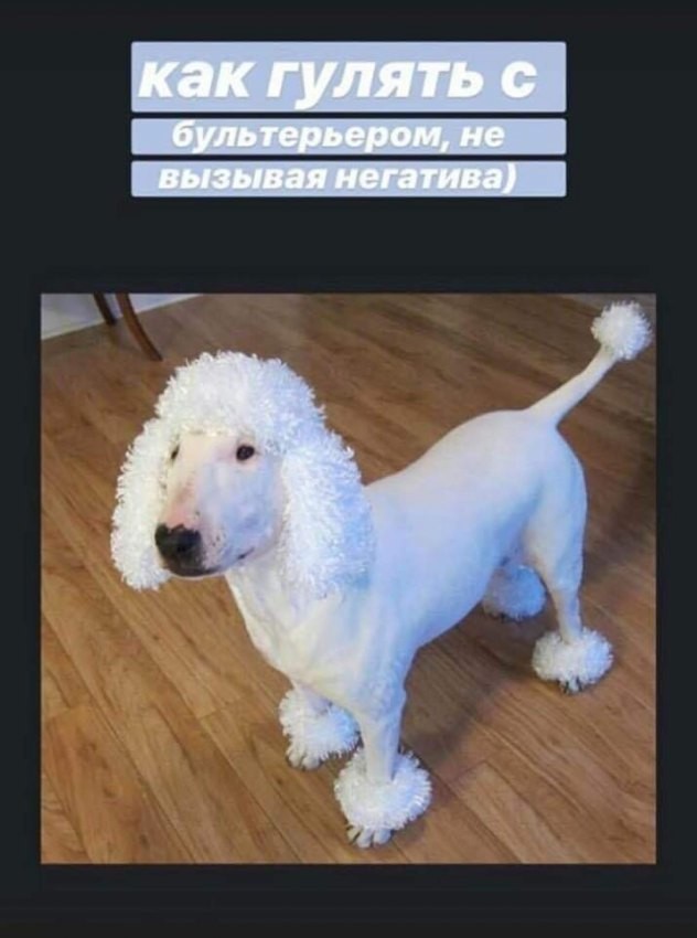 183230