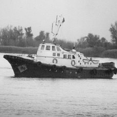 197025