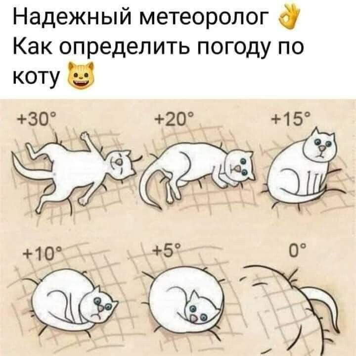 206824