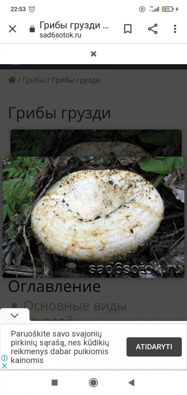 208659