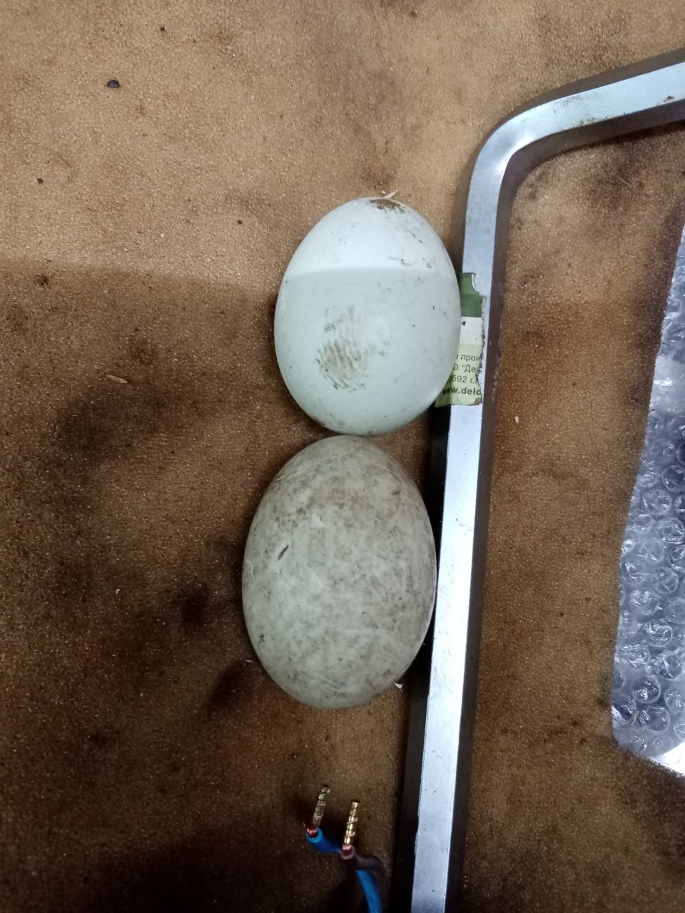 227079