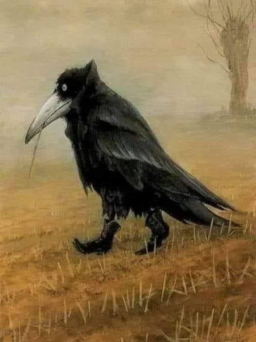 236596
