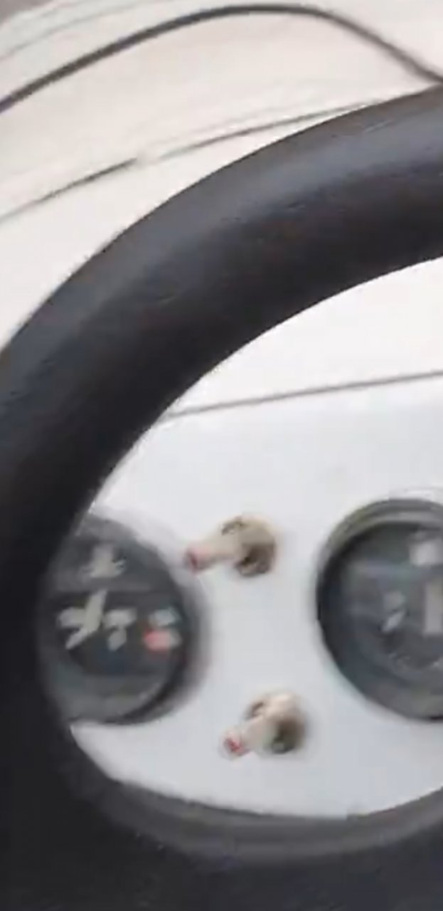 240359