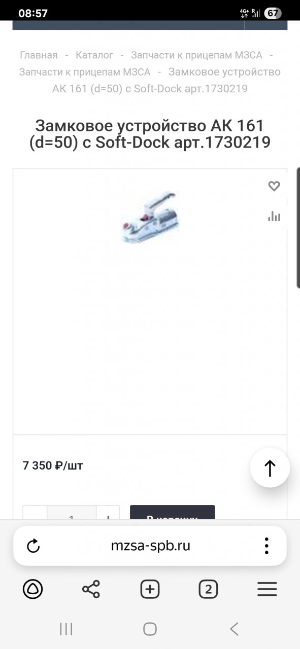262384