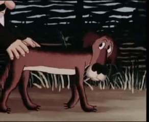 262729