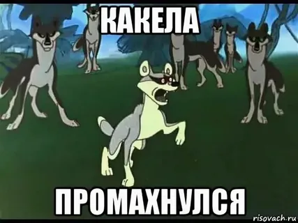 264382