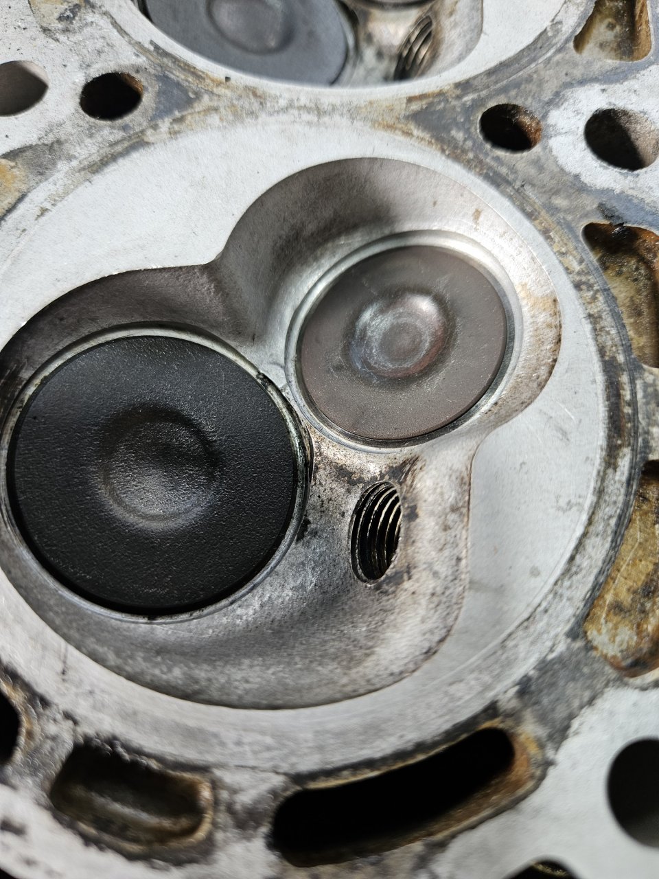 264809