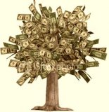 денежное дерево.jpg