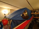 IMG_20250503_154520.jpg