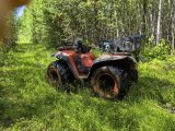 IMG_20250705_115831.jpg