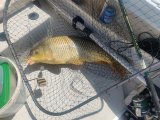 IMG_20250630_113551.jpg