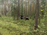 IMG_20250719_111209.jpg