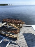 IMG_20250720_084307.jpg