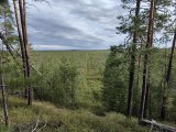 IMG_20250719_082736.jpg