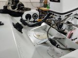 IMG_20210611_064829.jpg