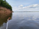 IMG_20250624_102258.jpg