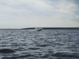 IMG_20250721_135936.jpg