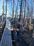 IMG_20250502_174216.jpg