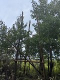 IMG_20250817_140335.jpg