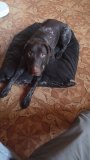 IMG-20250816-WA0044.jpeg