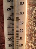 IMG_20250824_053952.jpg