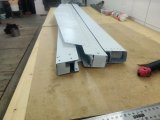 IMG_20251009_080249.jpg