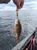 IMG_20260523_113026.jpg