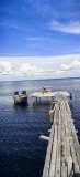 IMG_20260608_070820_188.jpg