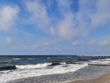 IMG_20260713_164602.jpg