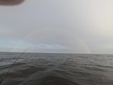 20260724_200152.jpg