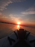 IMG_20250712_201152.jpg