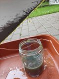 IMG20260803073721.jpg