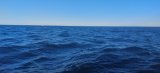 20220628_194728.jpg