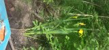 20220618_162405.jpg