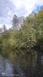 IMG_20220529_132538.jpg