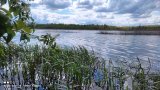 IMG_20220529_135814.jpg