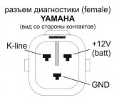 Diagnostic.jpg