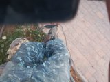 IMG_20260819_190534_419.jpg