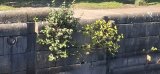 20260826_122937.jpg